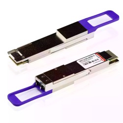 2X100G QSFP-DD 4WDM