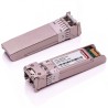 16G SFP+ EW